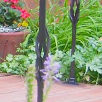 IMG_0351-1